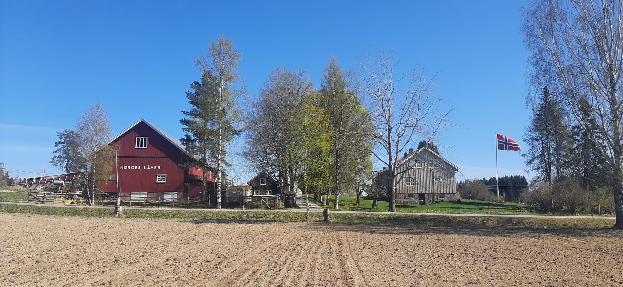 Levende gårdsmiljø